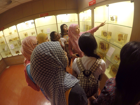 Our staff was explaining to the MSU students in the Pathology Museum
