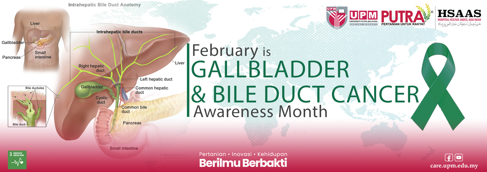 2 GALLBLADDER and BILE DUCT  2026