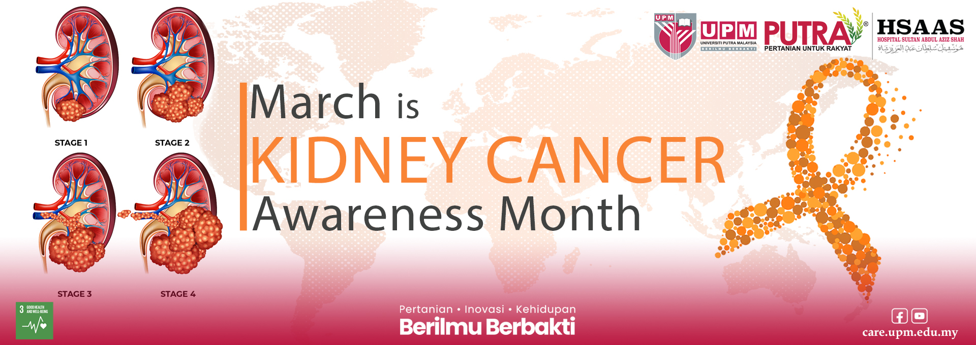 3 KIDNEY CANCER 2026